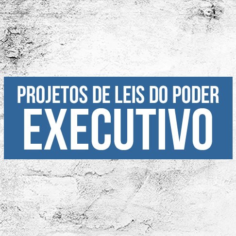 poder-executivo icon.jpg