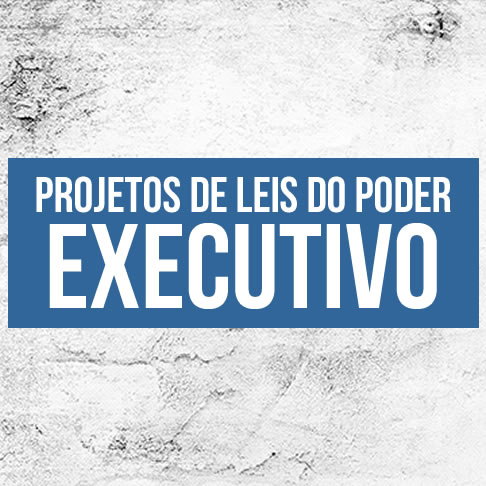poder-executivo icon.jpg